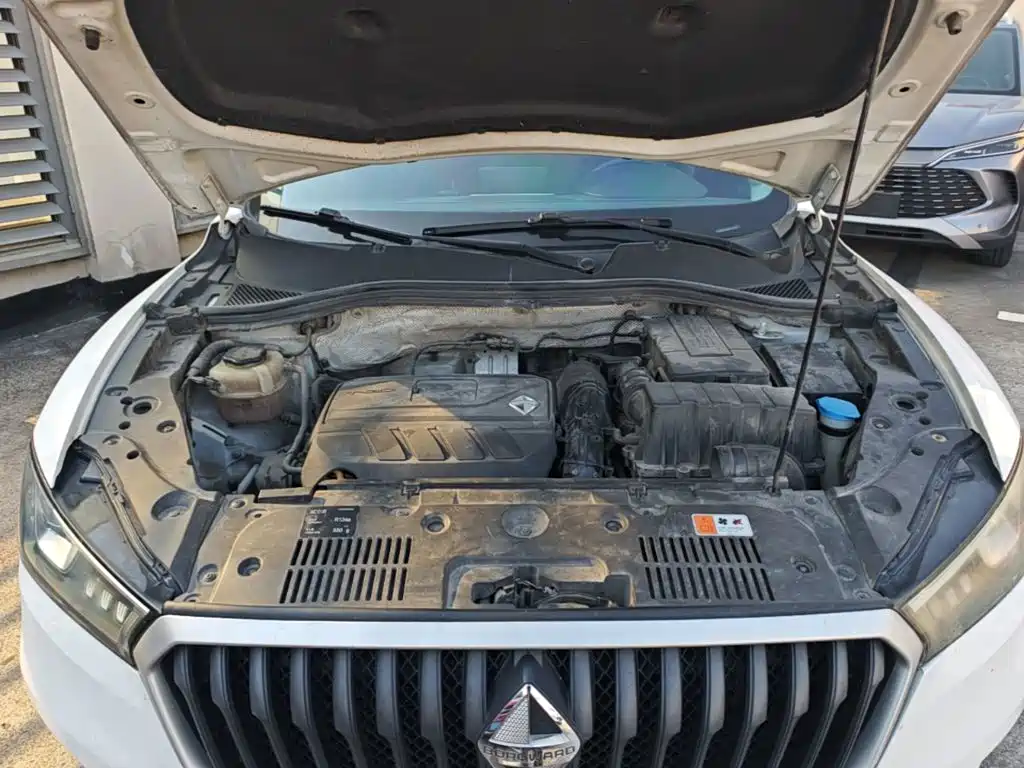 Borgward BX5 2019 2017 Model 20TGDI Automatic 2WD Vanguard Type