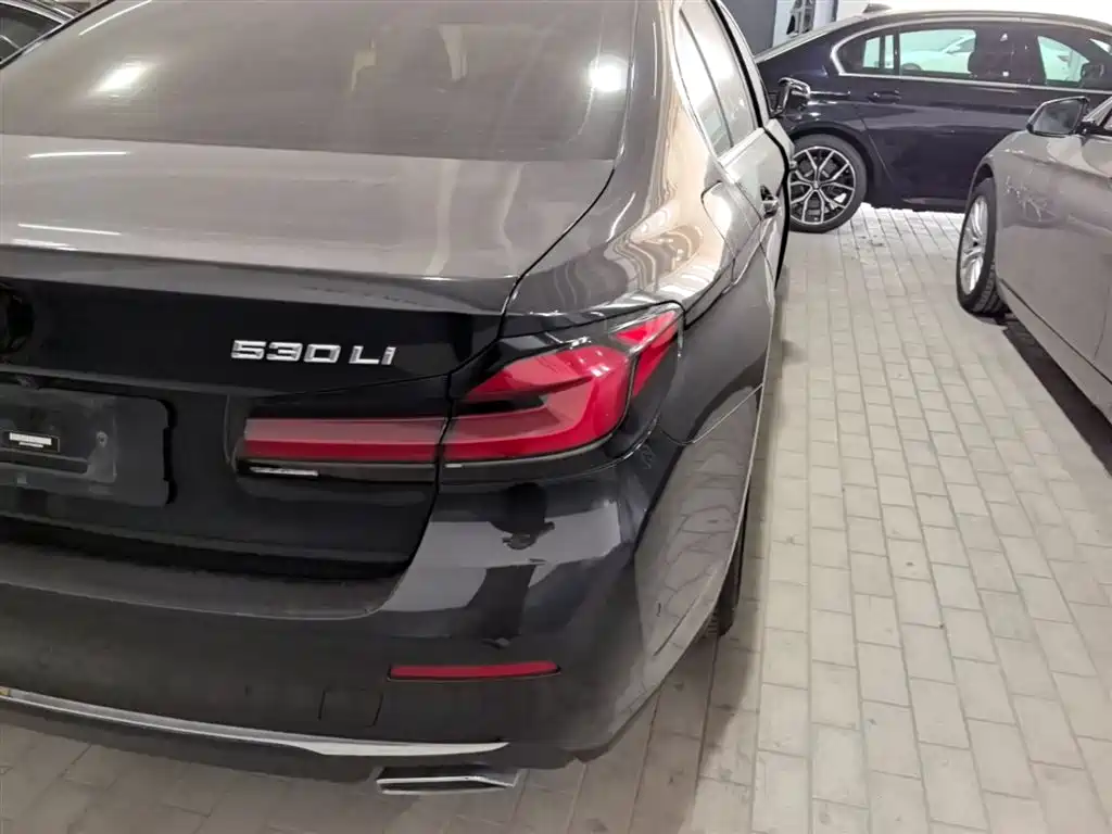 BMW 5 Series 2022 Facelift II 530Li Luxury Trim Premium Package фото 8