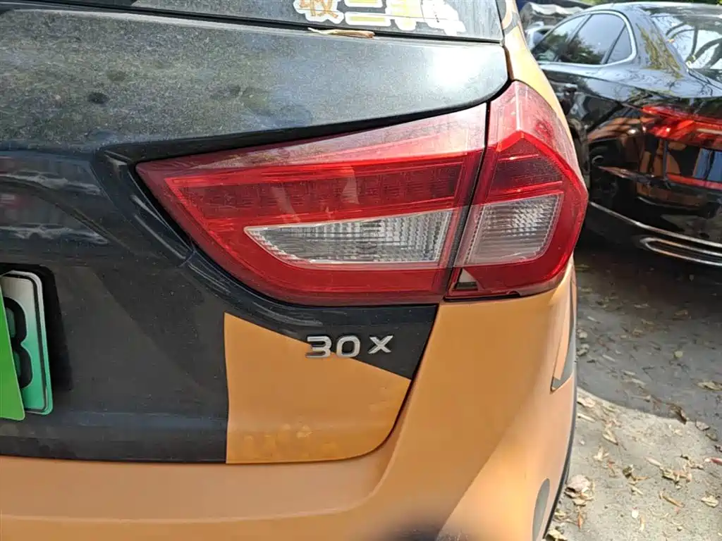 RUILAN AUTOMOBILE MAPLE LEAF 30X