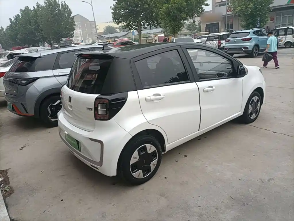 JAC Yiwei Yttrium Flower Fairy 2024 2024 Beloved Edition 301km Lite
