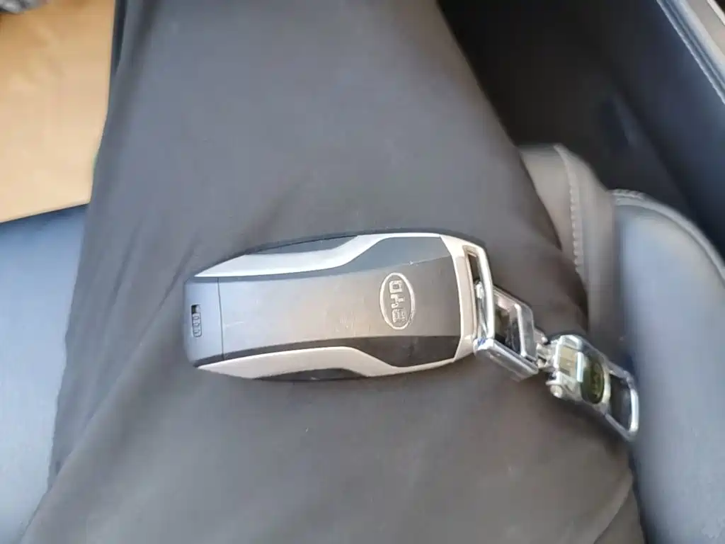 BYD Tang 2019 2019 2.0T Automatic Smart Connect Luxury 5-seater China VI
