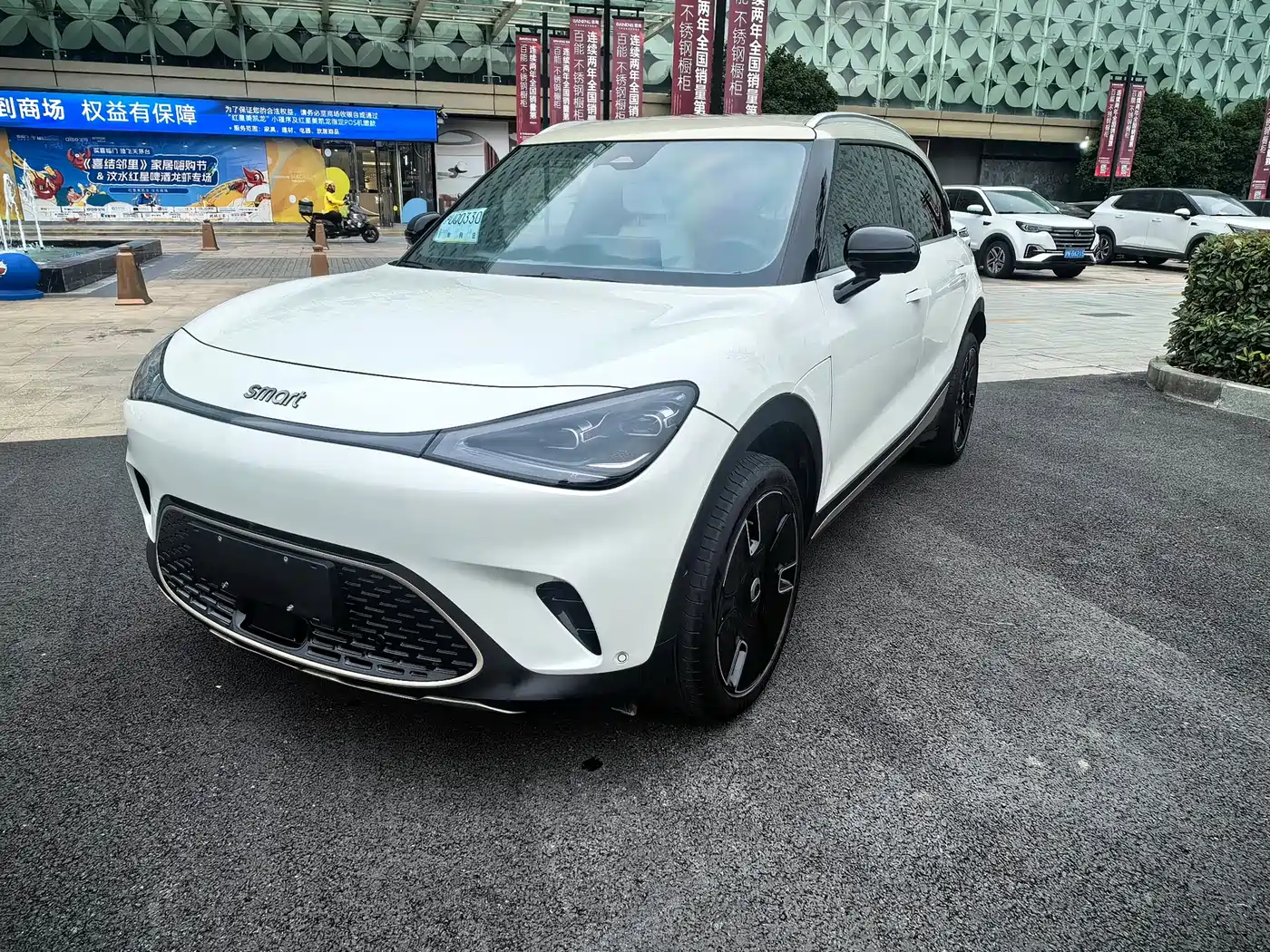 smart Elf #1 2024 Platinum Edition