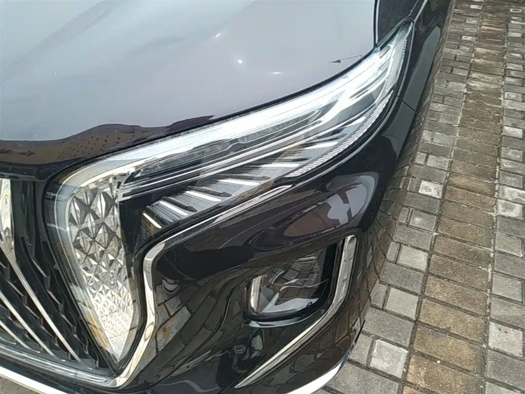 Hongqi HQ9 PHEV 2024 Model 2.0T AWD Luxury Edition фото 24