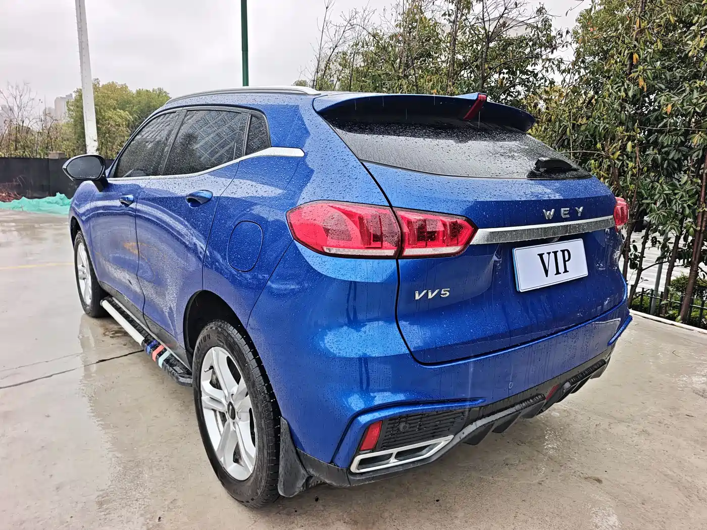 WEI PAI WEI BRAND VV5