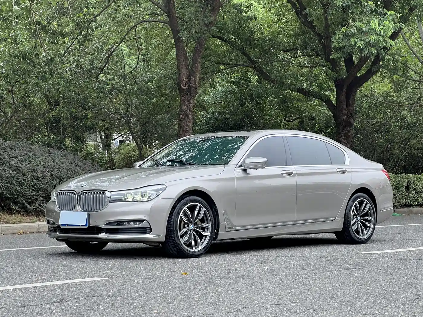 BMW 7 Series 2018 730Li Leading Type Excellence Package фото 2