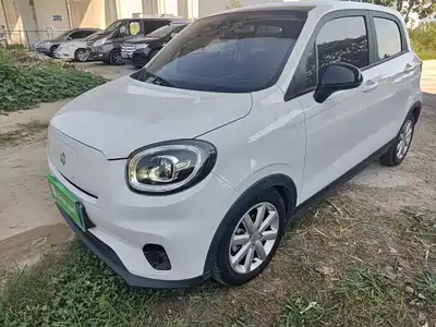 Leapmotor T03