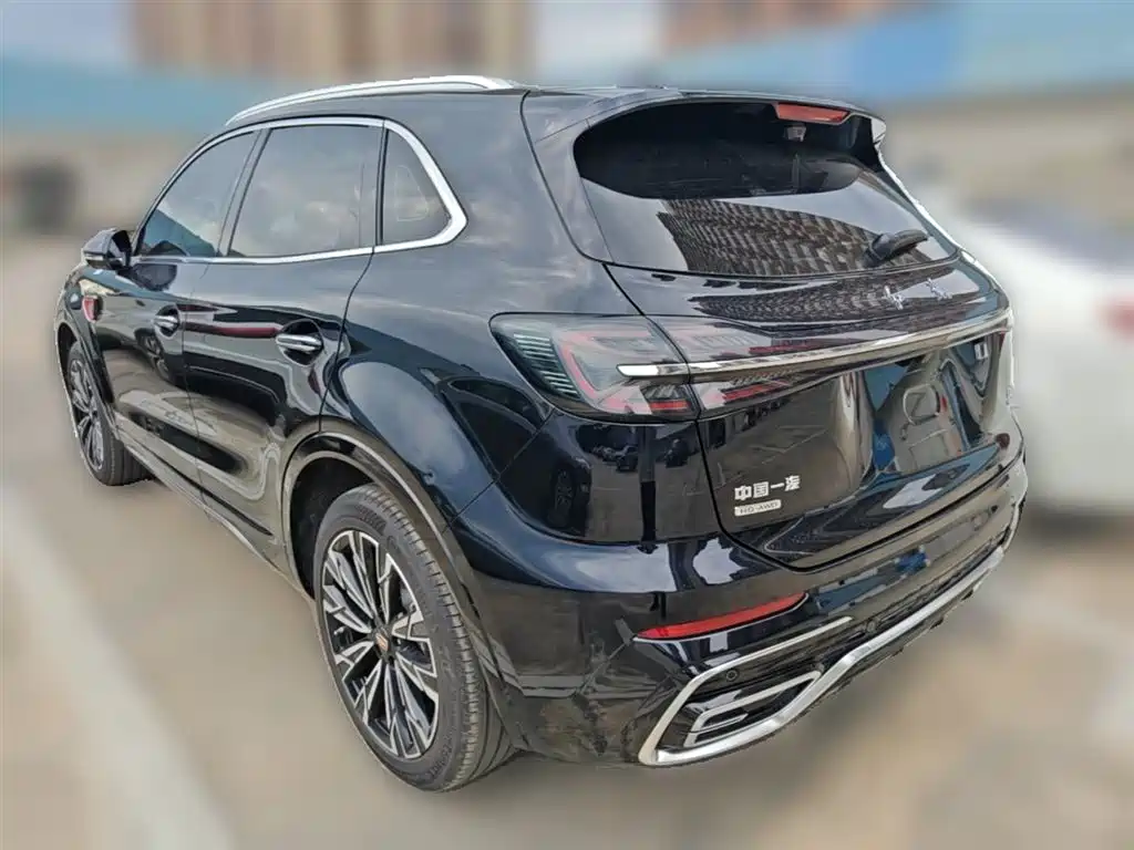 Hongqi HS5 2023 2.0T AWD Flag Enjoy Pro Edition фото 9