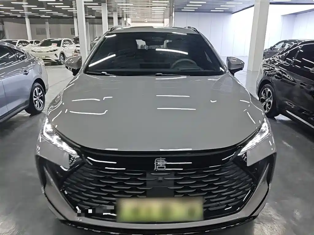 BYD Tang New Energy 2025 Smart Driving Edition DM-i 115KM Flagship фото 3
