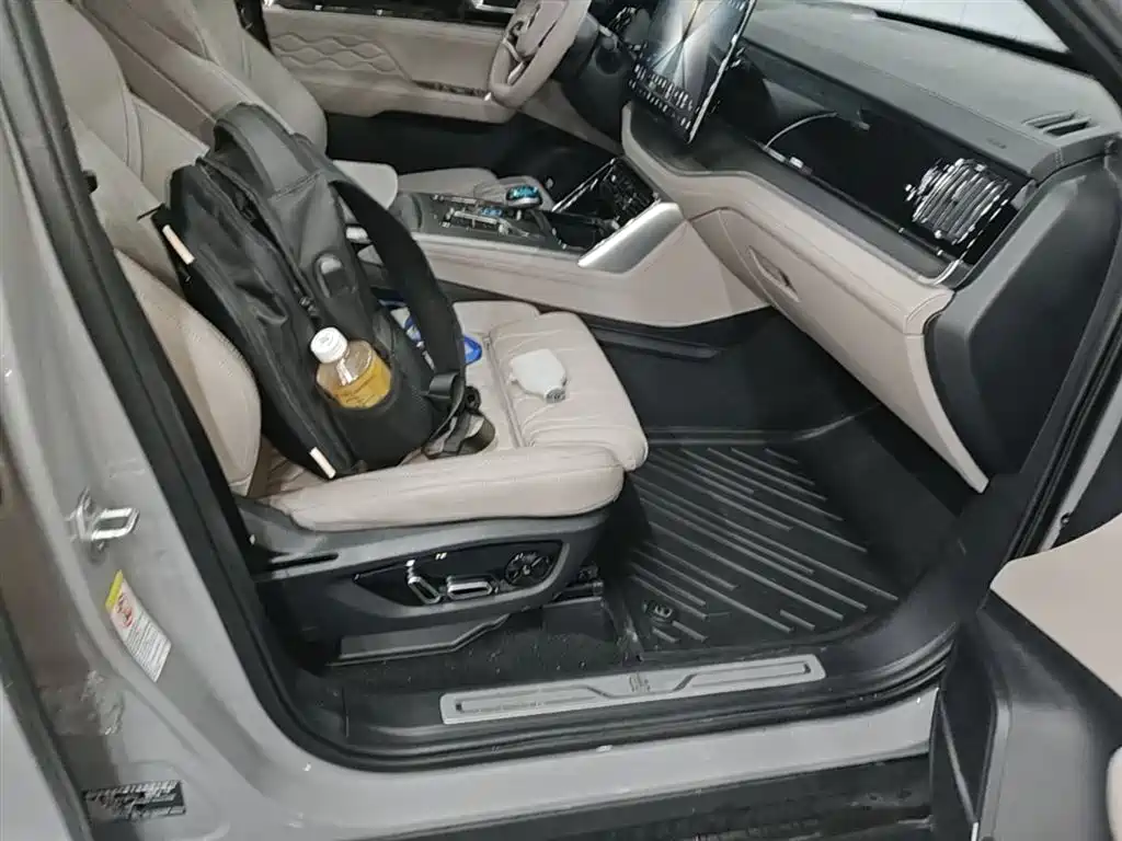 BYD Tang New Energy 2025 Smart Driving Edition DM-i 115KM Flagship фото 25