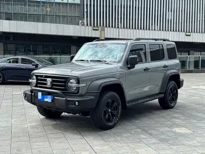 Tank 300