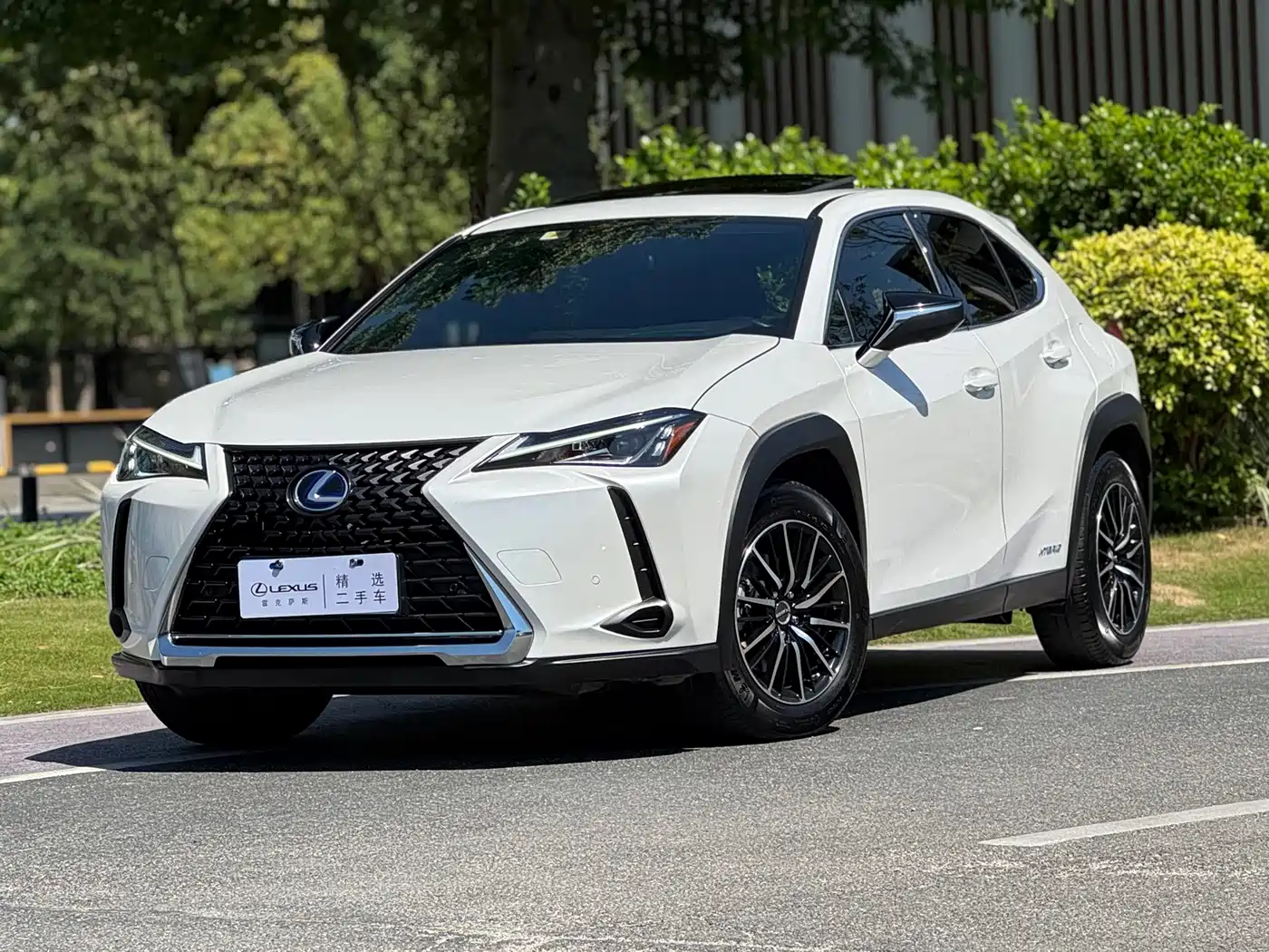 Lexus UX 2019 2019 260h Explore Fun Edition China VI
