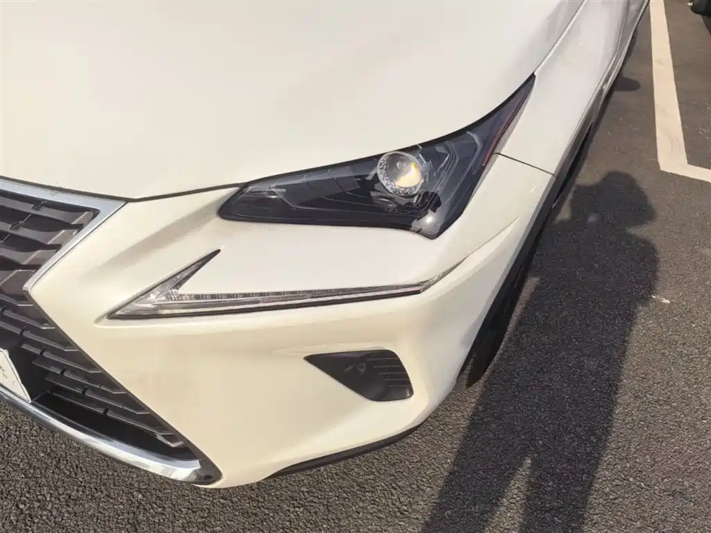 Lexus NX 2018 Model 300h FWD Fengshang Edition China V фото 24