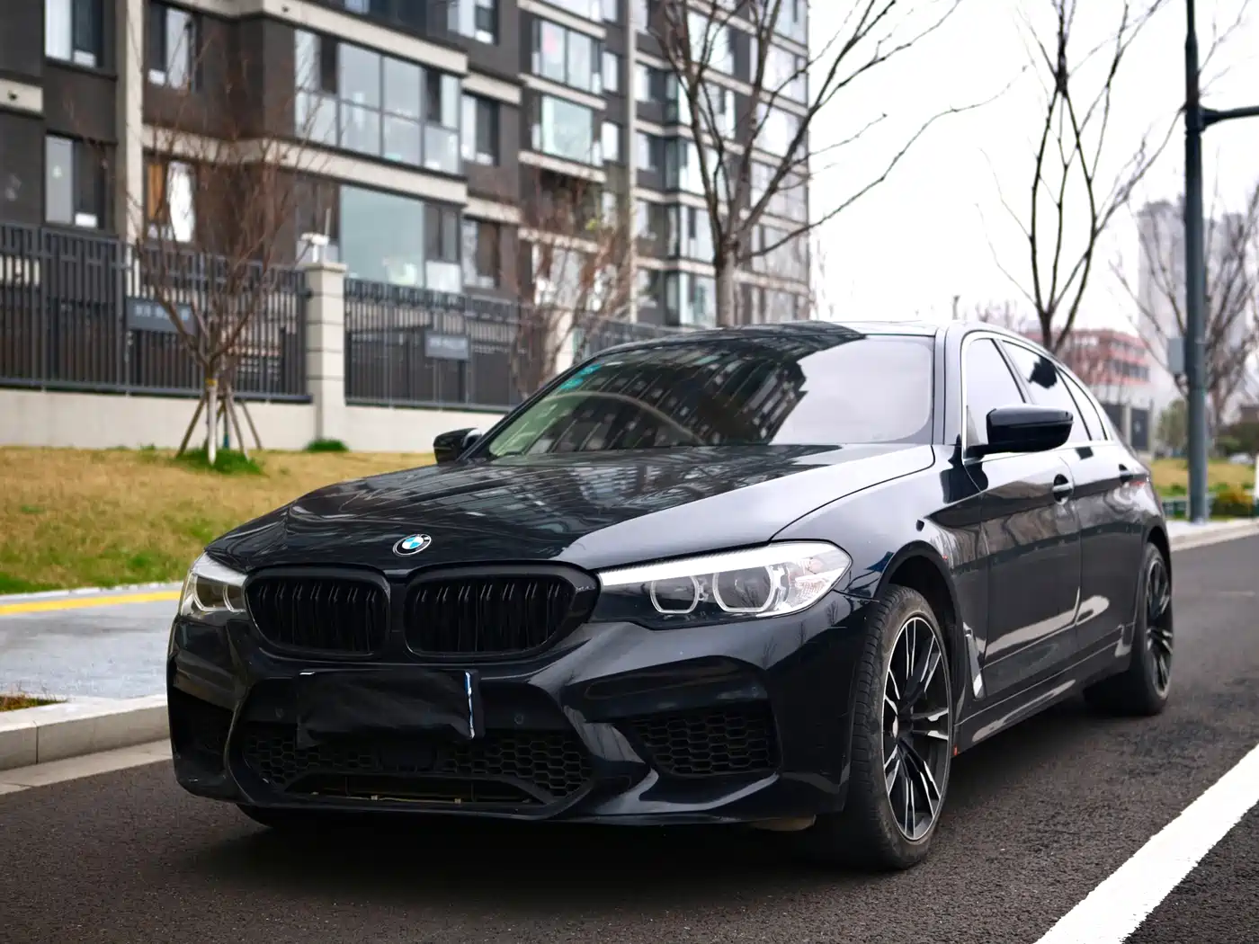 BMW 5 Series 2018 528Li Launch Special Edition