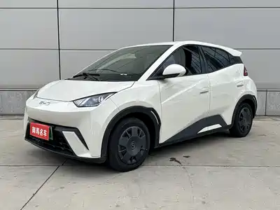 BYD Seagull