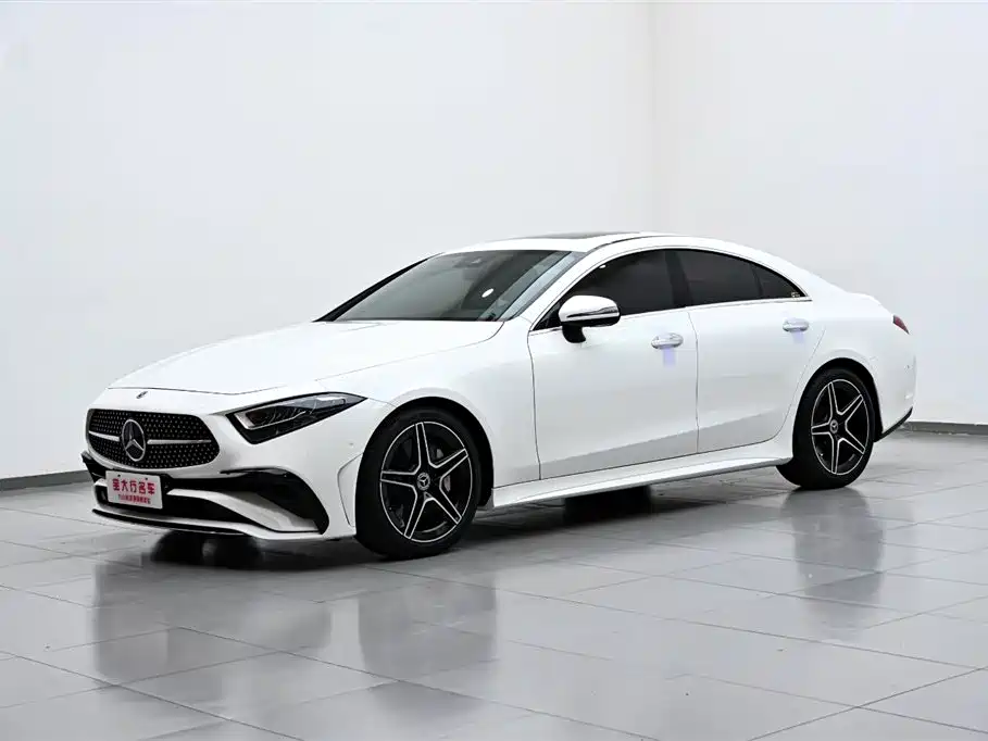 Mercedes-Benz CLS 2022 CLS 300 Luxury фото 2