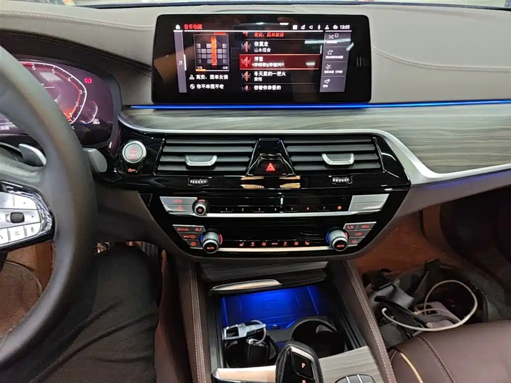 BMW 5 Series 2020 530Li Leading Luxury Package фото 13