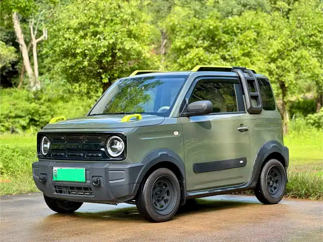 Geely Galaxy Panda 2024