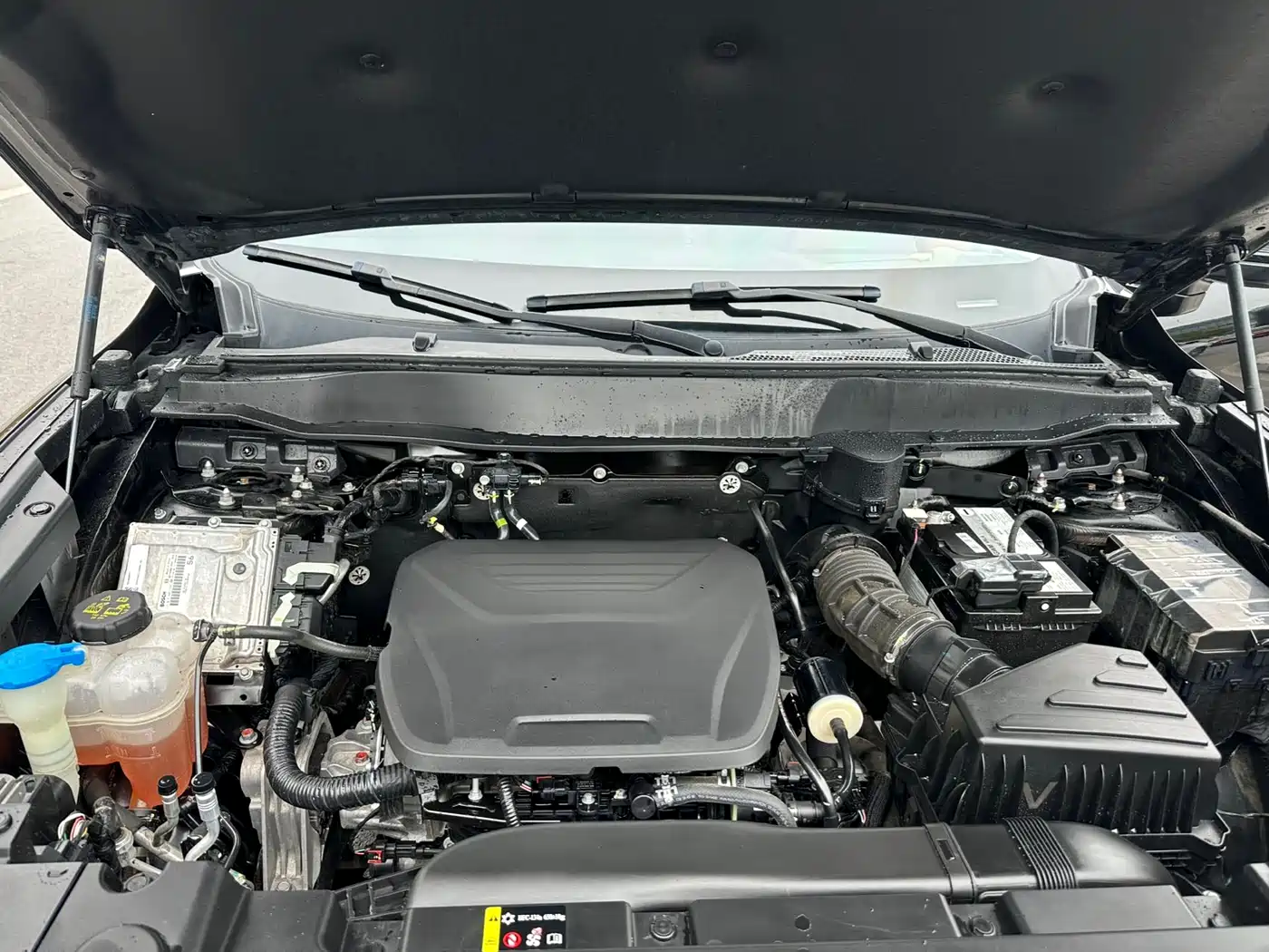 Haval Big Dog 2022 1.5T DCT FWD Border Collie Edition фото 18