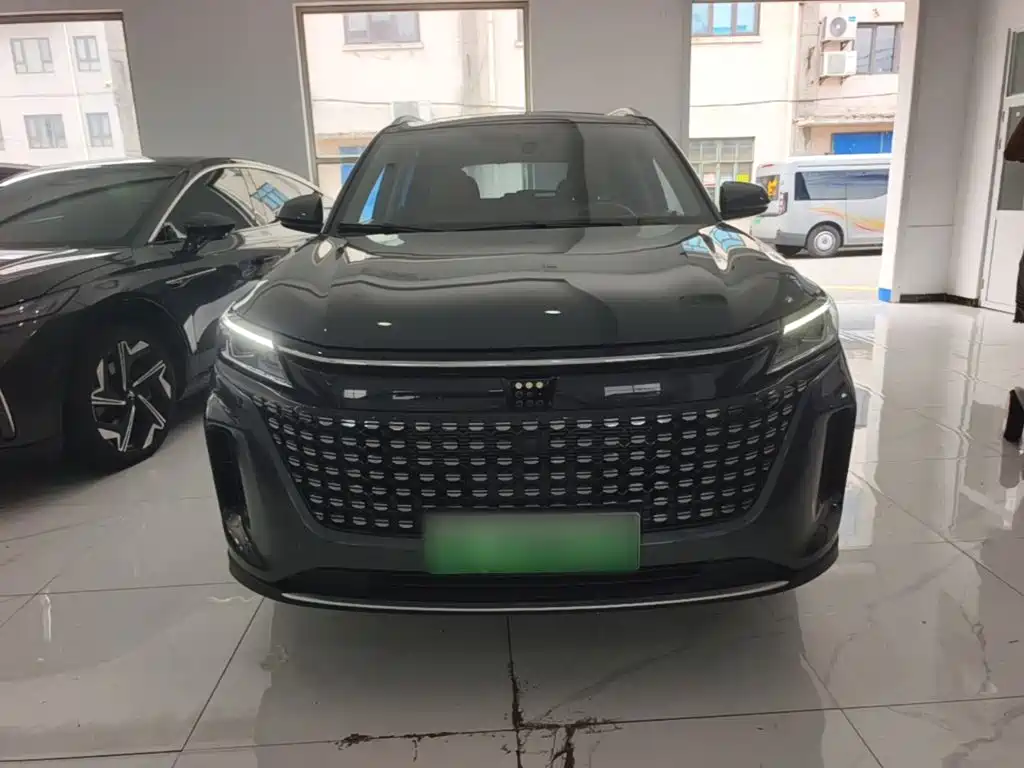 Landian E5 2024 2024 Glory Edition 100KM Comfort Type 7-Seater