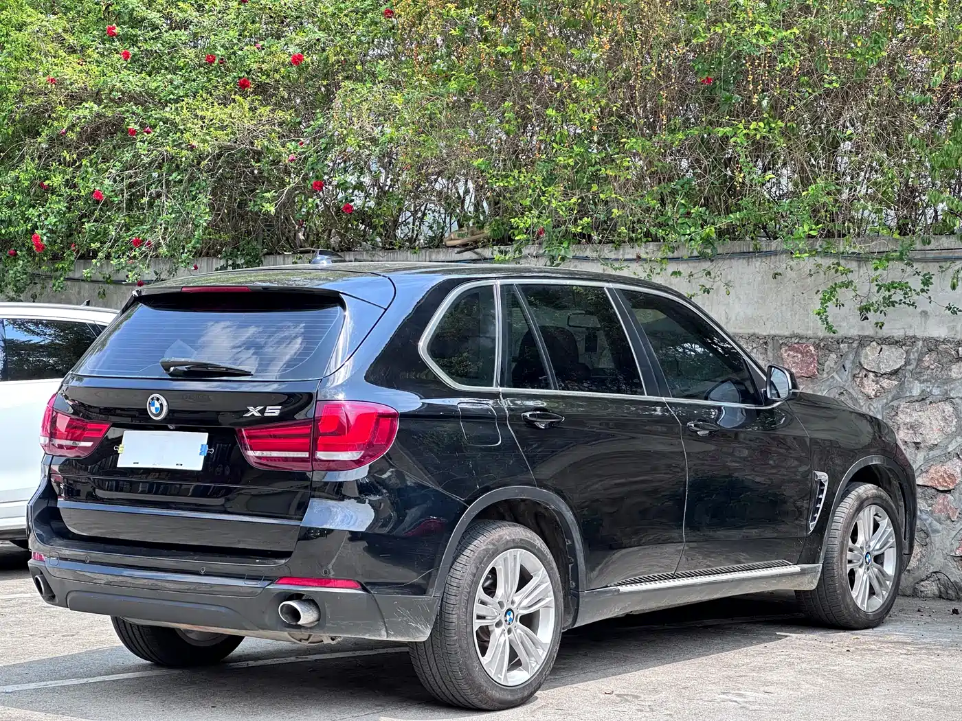 BMW X5 (Import) 2014 xDrive35i Leading фото 6