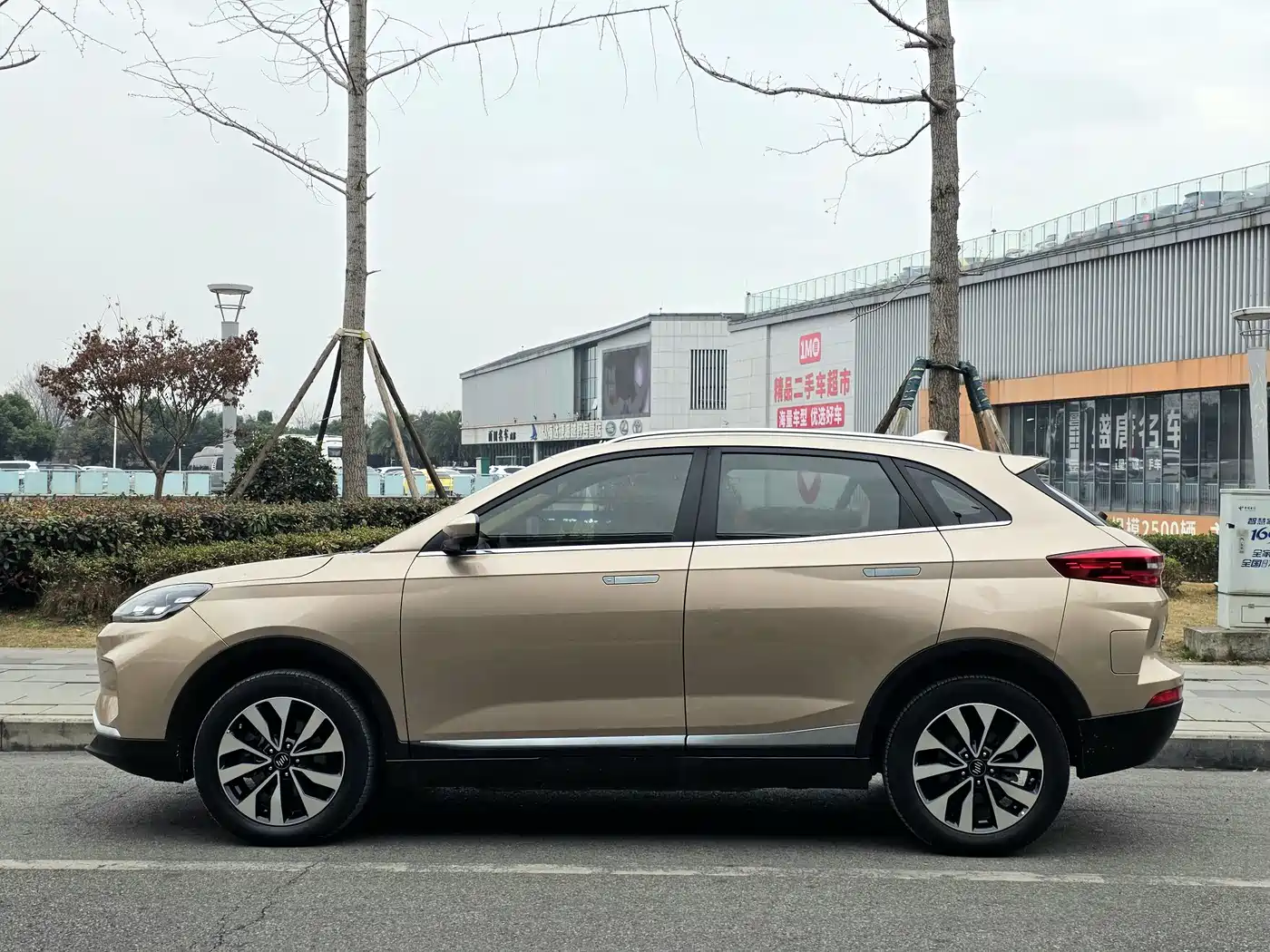 Weltmeister WEIMA EX5