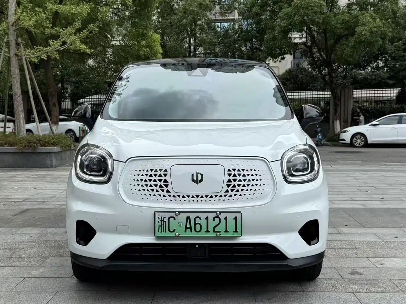 Leapmotor T03 2020 2020 400 Luxury Edition