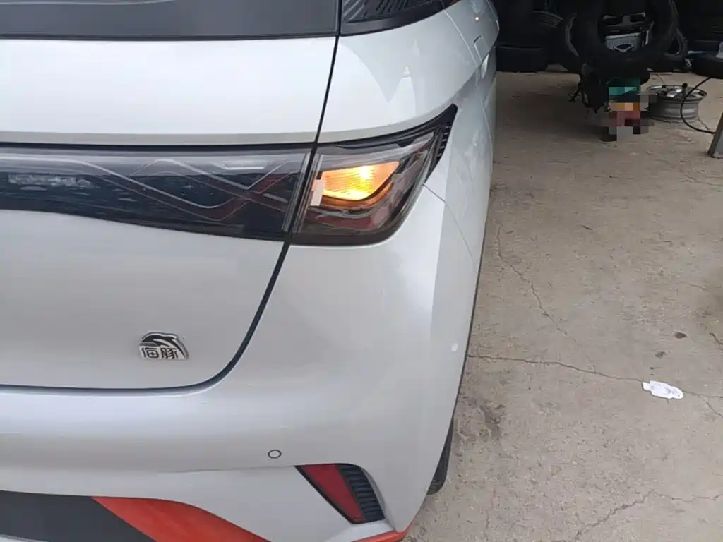 Фото 8 - BYD Dolphin