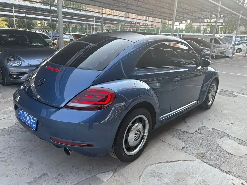 صورة 8 - Volkswagen Beetle