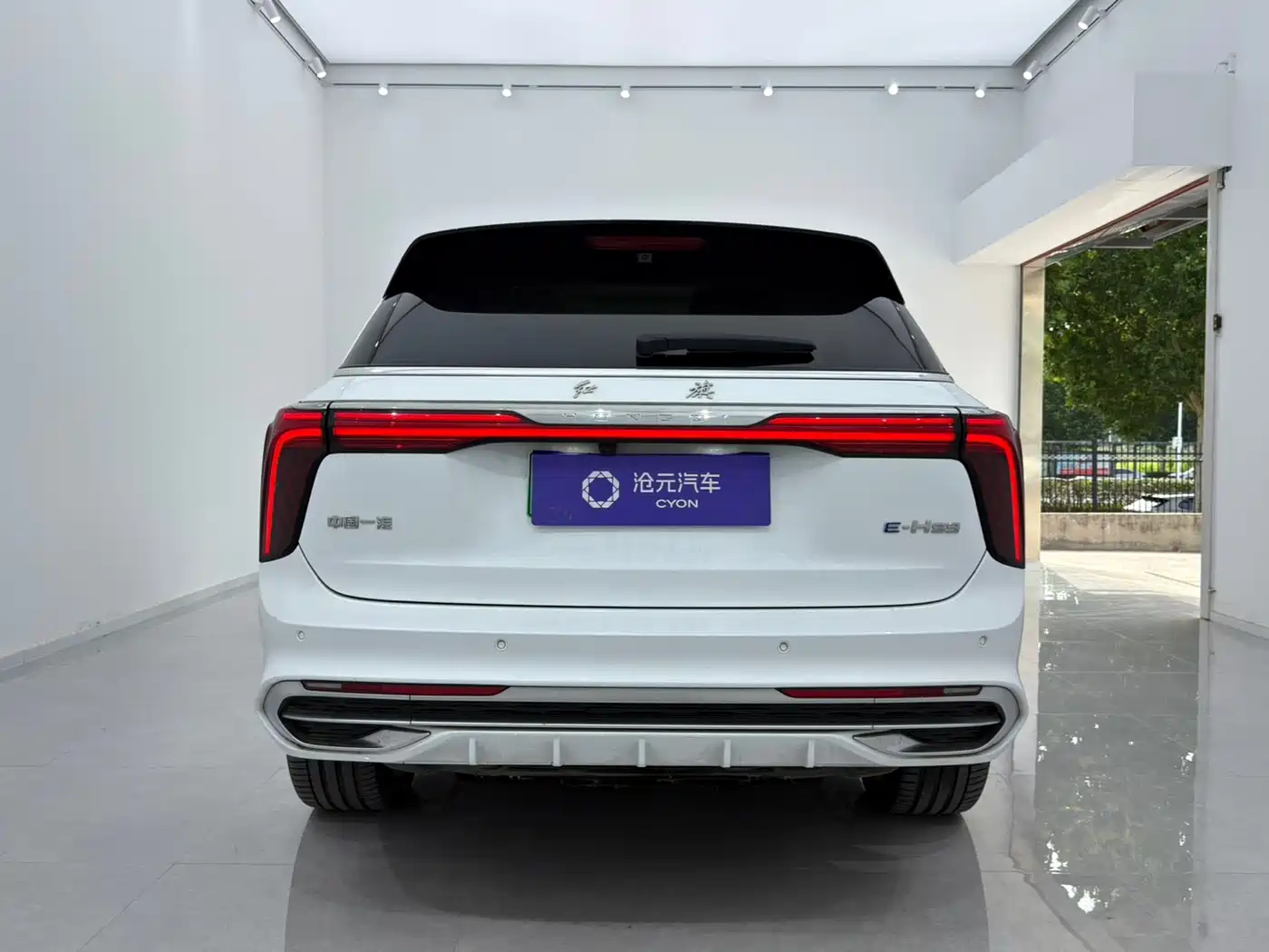 Hongqi E-HS9 2023 2022 660km Qi Chang Edition (6-seater)