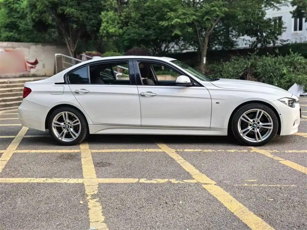BMW 3 Series 2018 320Li Leading M Sport Package фото 8