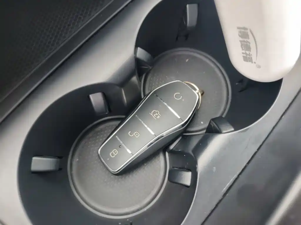 BYD Destroyer 05 2024 2023 Champion Edition DM-i 55KM Luxury