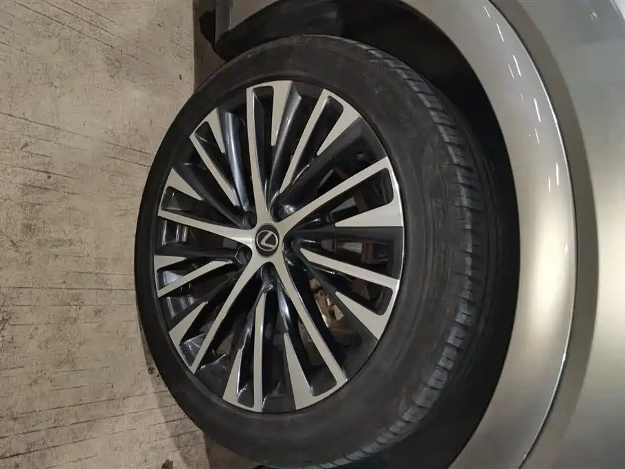 Lexus RX New Energy 2023 450h+ 4WD Enjoyment фото 6
