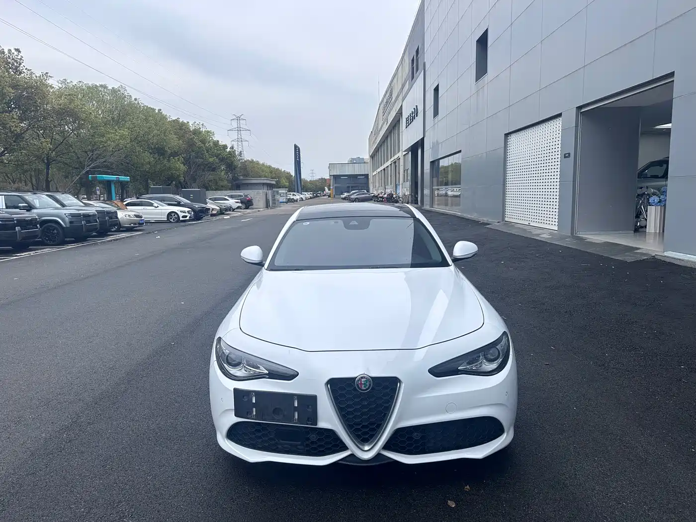 ALFA ROMEO GIULIA