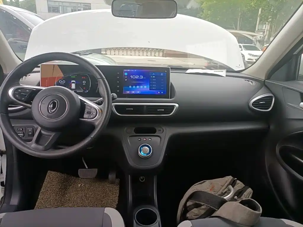 Ora White Cat 2020 2020 360km Luxury Model