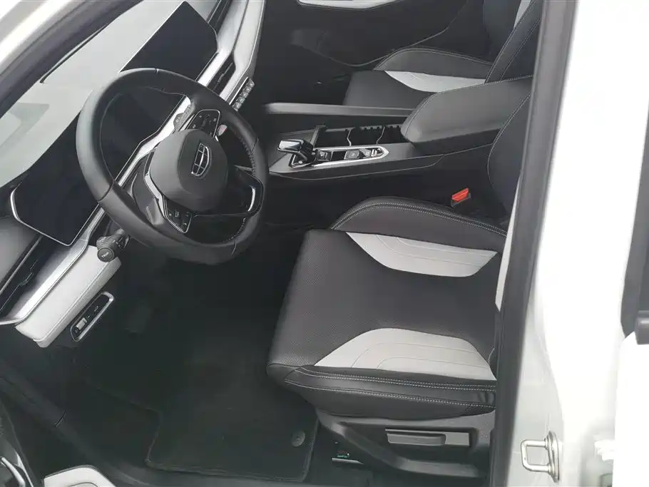 GEELY AUTOMOBILE BINRUI