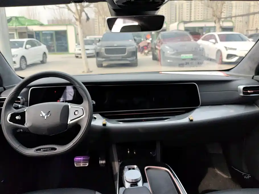 ARCFOX EXTREME FOX POLAR FOX ALPHA S