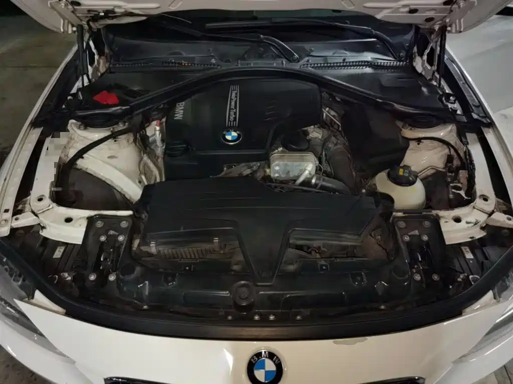 BMW 3 Series 2014 320Li Luxury Design Package фото 11