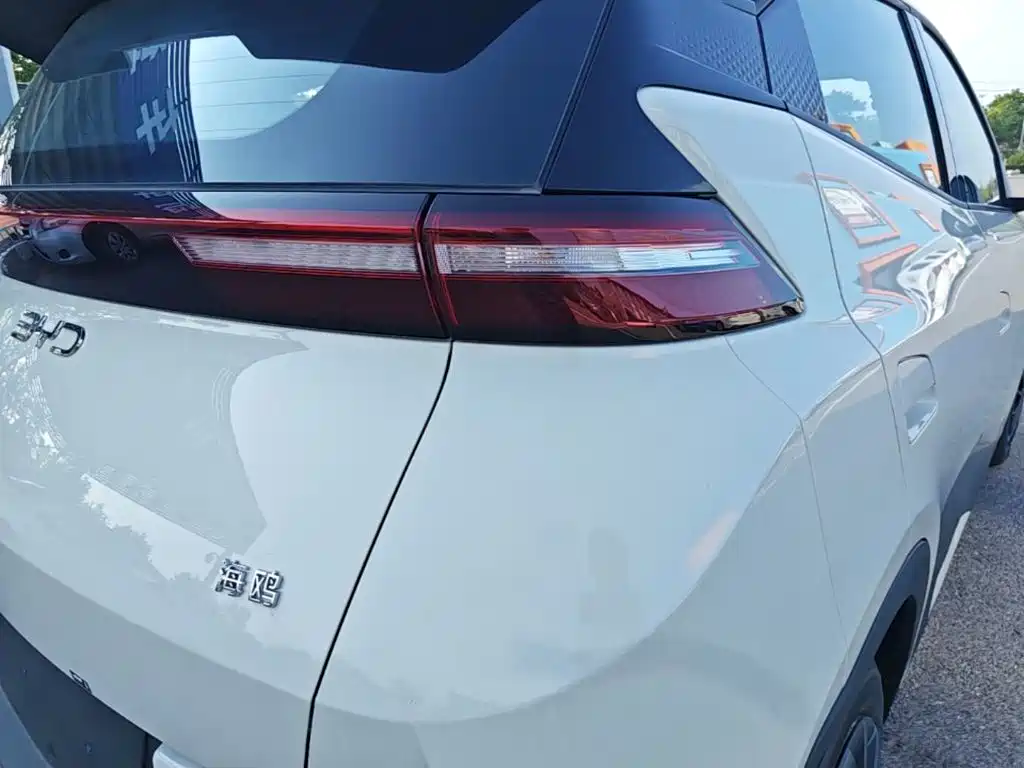 BYD Seagull 2026 2025 305km Vitality
