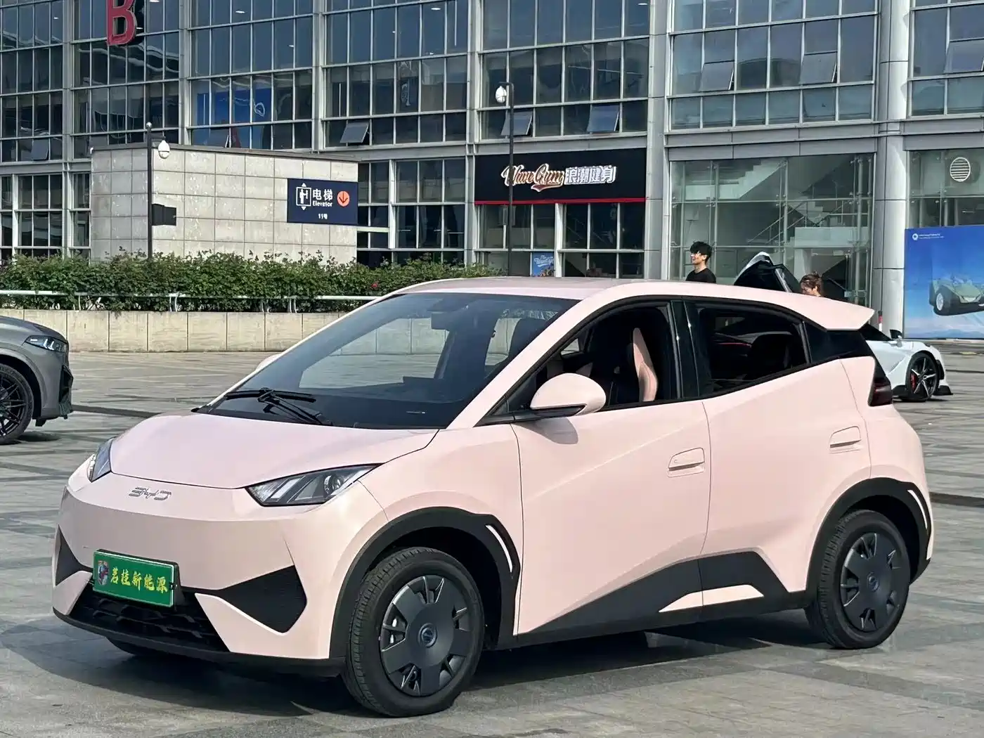 BYD Seagull 2025 Smart Drive Edition 305km Vitality Version