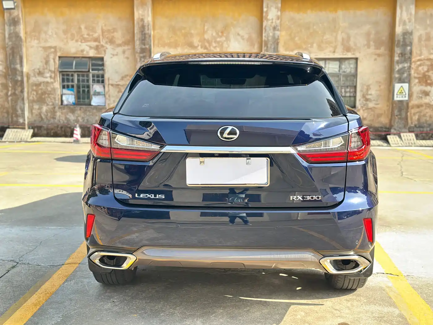 Lexus RX 2016 300 4WD Elegance Edition (China V) фото 19