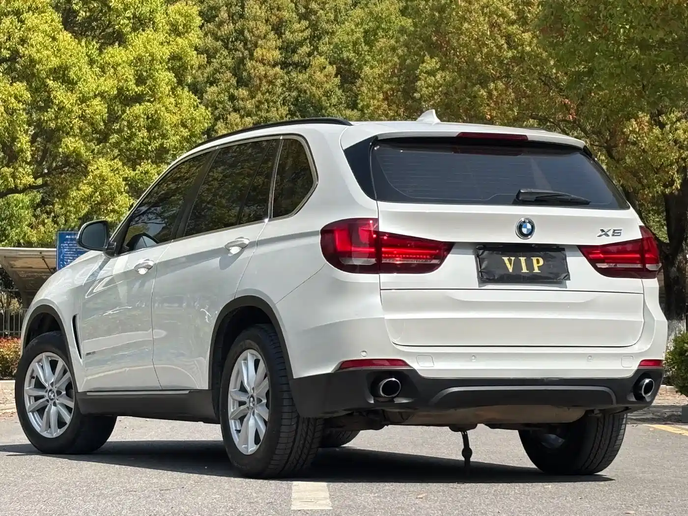 BMW X5 (Import) 2014 xDrive35i Elegance фото 4