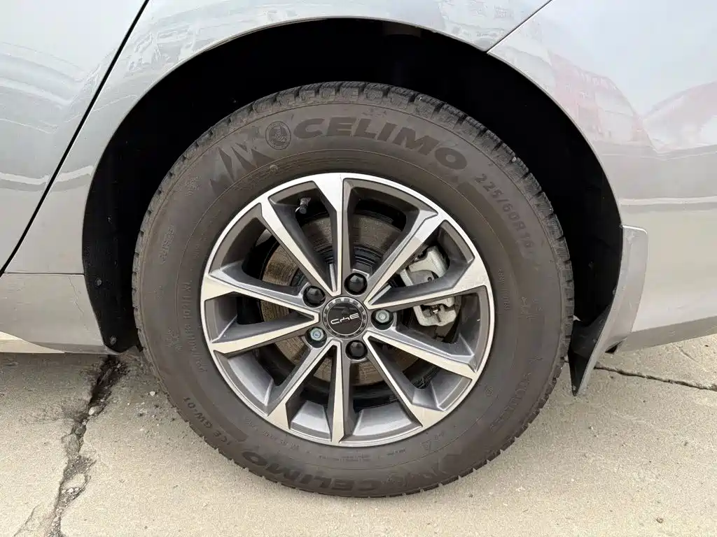 BYD Destroyer 05 2025 2024 Glory Edition DM-i 55KM Luxury