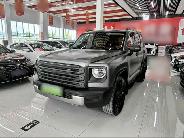 Haval Meng Long NEV 2025