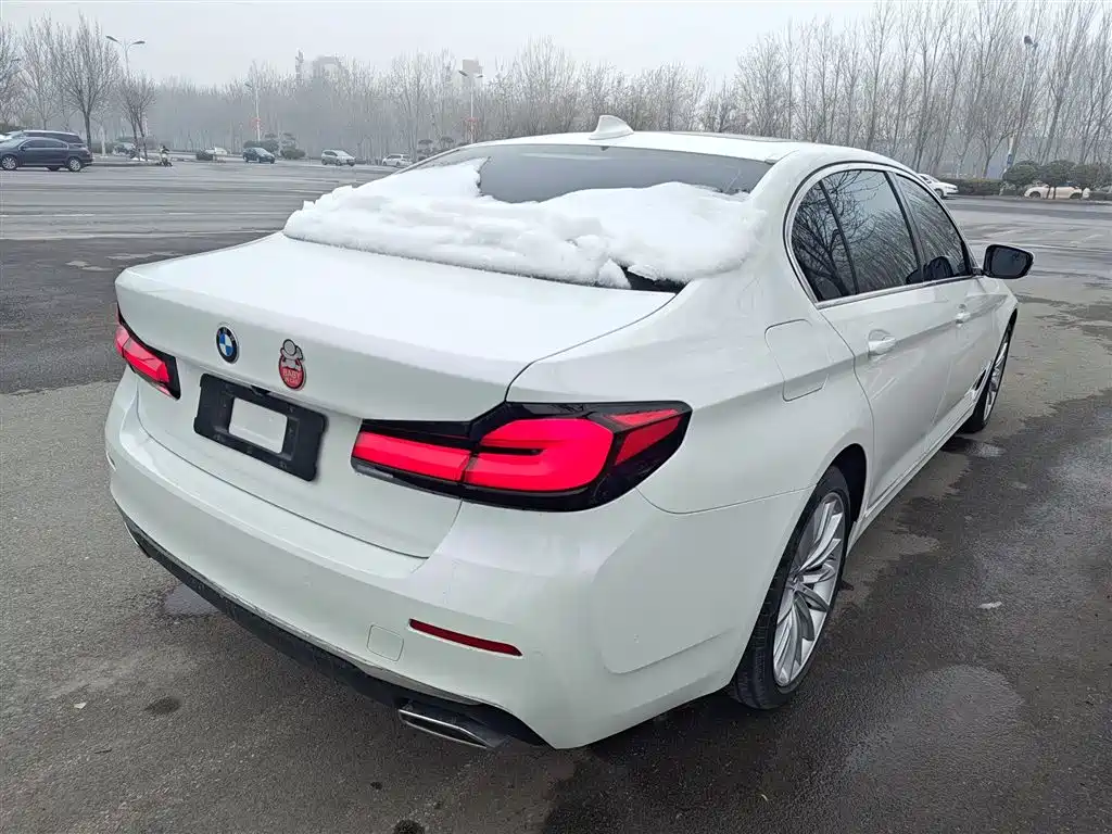 BMW 5 Series 2022 Facelift II 530Li Luxury Trim Premium Package фото 5