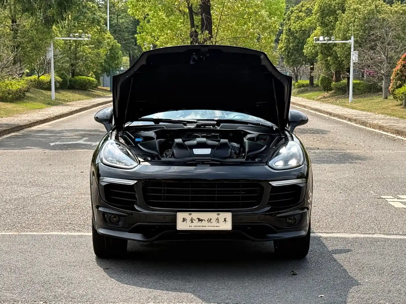 Porsche Cayenne 2015 Cayenne 3.0T фото 12