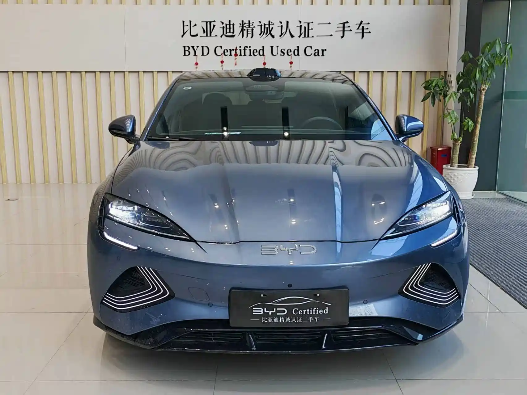 Photo 2 - BYD Seal