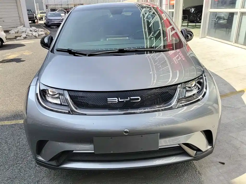 BYD Dolphin 2023 420km Fashion Edition фото 3