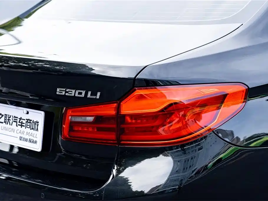BMW 5 Series 2020 530Li Premium Luxury Package фото 8