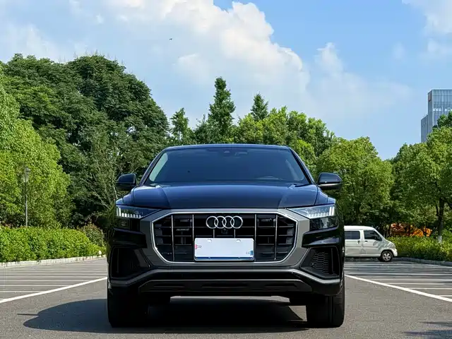 Audi Q8 2023 55 TFSI Luxury Sport — фото 2