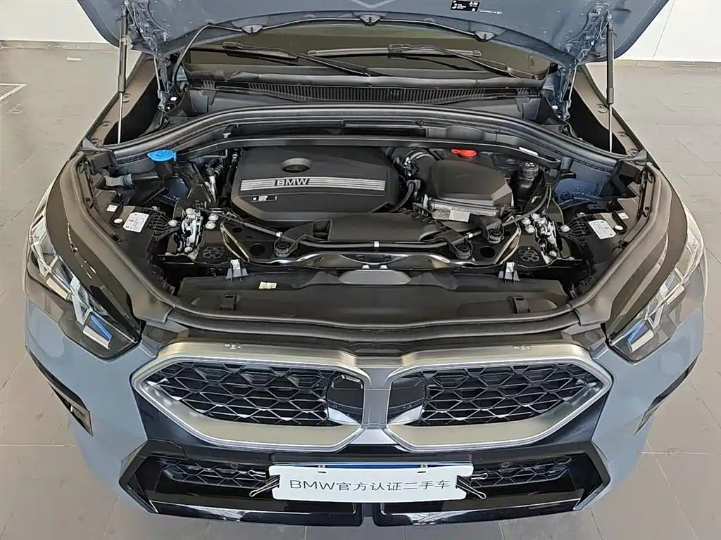 BMW X2 (Import) 2024 sDrive25i M Sport Package фото 8